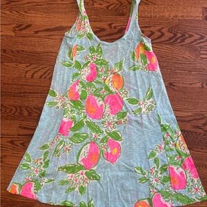 Lilly Pulitzer Blue and Pink Floral Dress